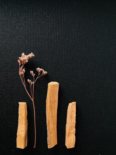 分散的帕洛桑托树，美丽的布局在黑暗的背景。前视图。来自拉丁美洲的有机圣树香。