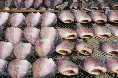 胸三角鱼干