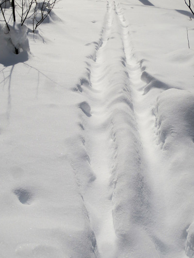 越野滑雪道，被雪填满