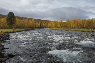 瑞典拉普兰Kungsleden Trail沿线的Barasjuhka河的流水