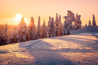 夕阳下的雪景，芬兰拉普兰冬天结冰的树木