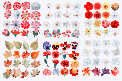 花