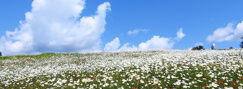 6月