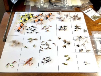 蝇钓鱼蝇和材料