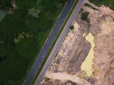 绿色森林之间的乡村道路的无人机视图