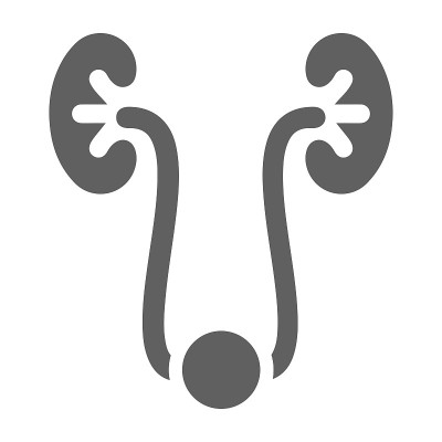 人类肾脏图标，灰色版本