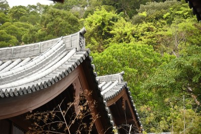 香港志莲尼姑庵内建筑物屋顶的细节