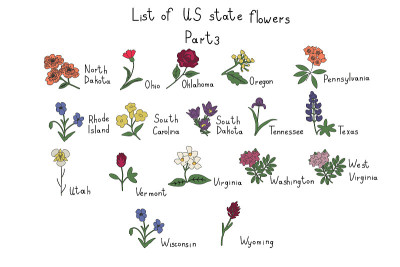 我们国家的花