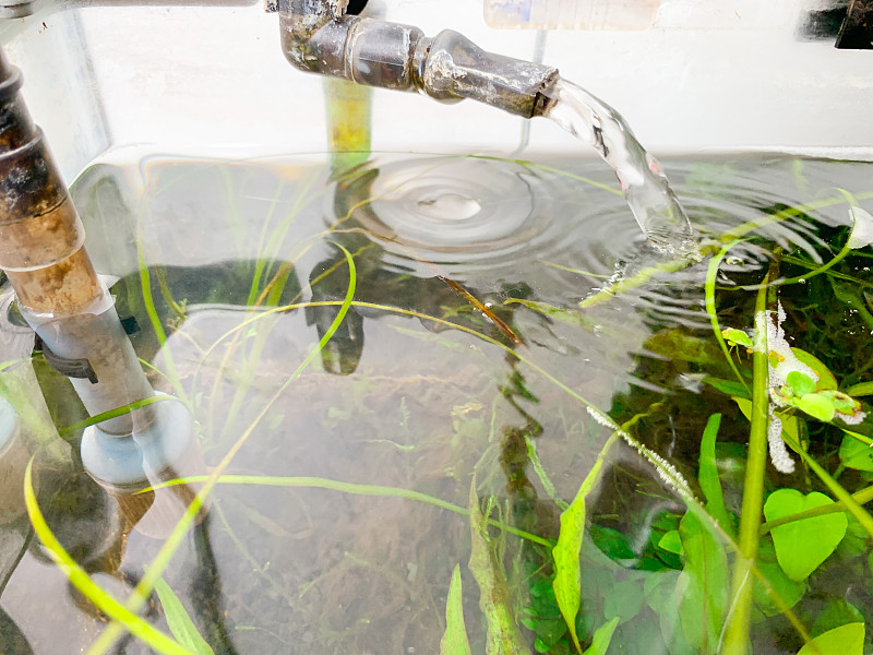 从上方拍摄的是一个有水泵的水族馆，里面装满了鱼和植物