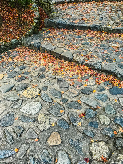 秋天