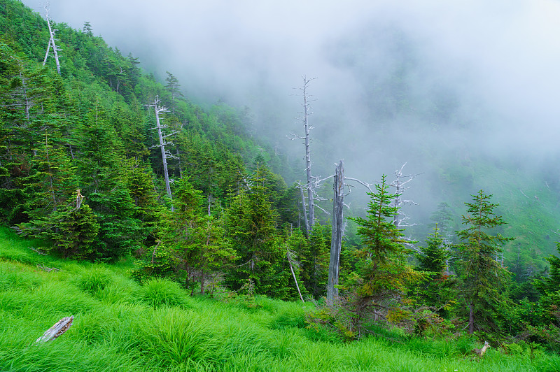 南阿尔卑斯山徒步旅行