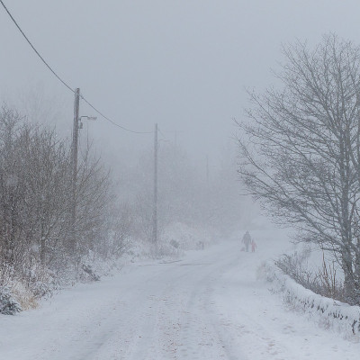 雪覆盖了道路