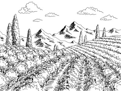 葡萄园图形黑白景观素描插图向量