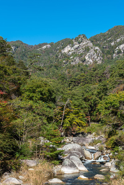三叶峡秋叶景色在阳光明媚的日子里观赏