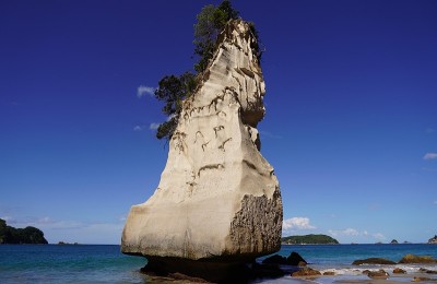 夏日之海是新西兰美丽的卡斯德拉尔集团