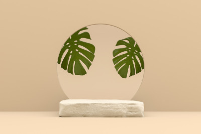 抽象讲台，岩石石平台，Monstera，最小的产品展示