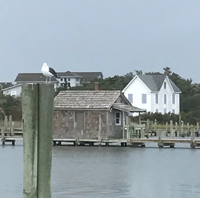 Ocracoke岛风景
