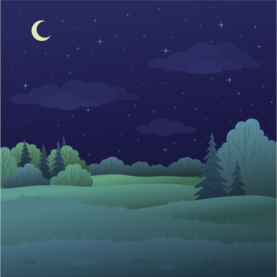 山水，夜夏森林
