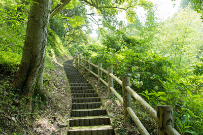 沿山溪的避暑步道。