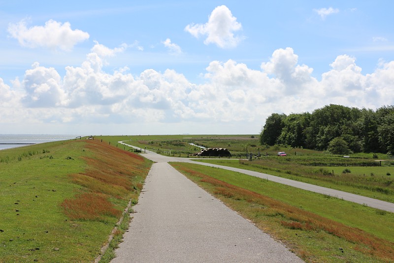 夏天的一天，在威克附近的堤坝上，Föhr