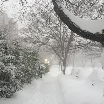 暴雪之后