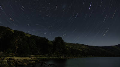 星迹在南洋杉森林