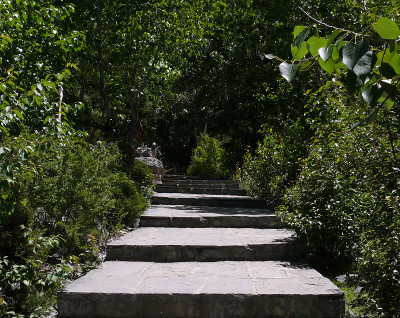 Foresty Muktinath寺庙的楼梯