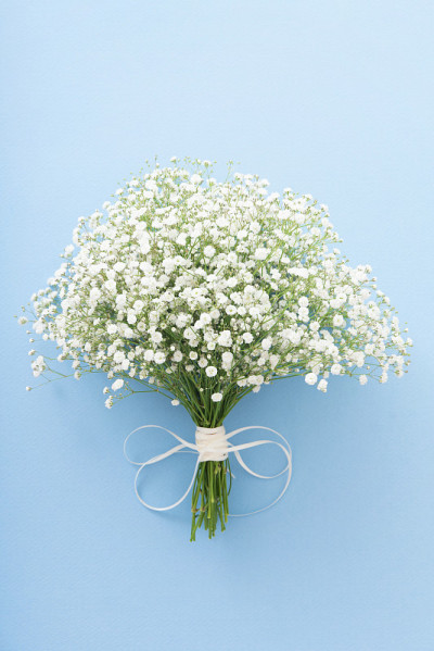 gypsophila的花束