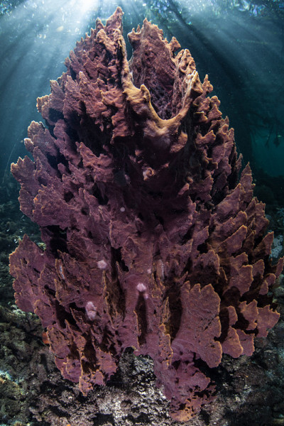 阳光和海绵桶