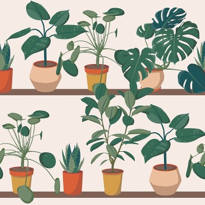 室内植物