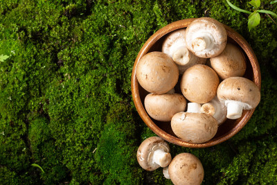 苔藓桌上的木碗里放着蘑菇。苔藓森林背景上的碗里的蘑菇。从上往下看