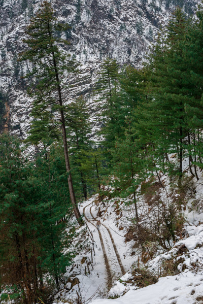 雪中的道路-雄伟的冬季景观在喜马拉雅山