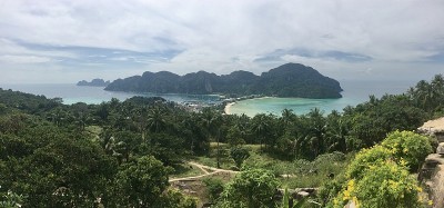 皮皮观点