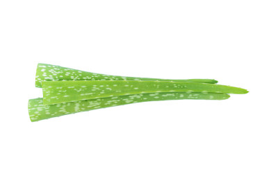 白色上分离的芦荟