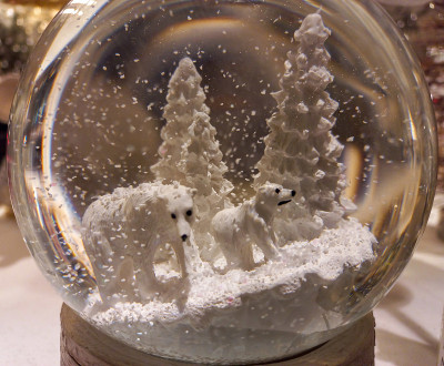 两只北极熊在雪球里爬上了山顶