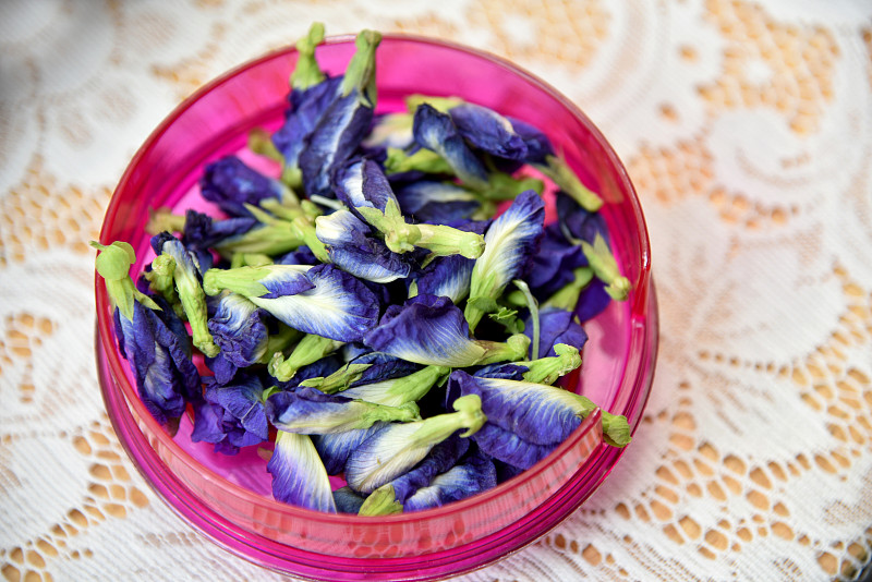 豌豆花，阴蒂兰，蝴蝶蓝。亚洲鸽翅(阴蒂)准备蝴蝶豌豆汁。