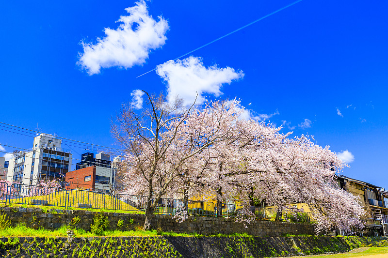 京都的蓝天和城市景观