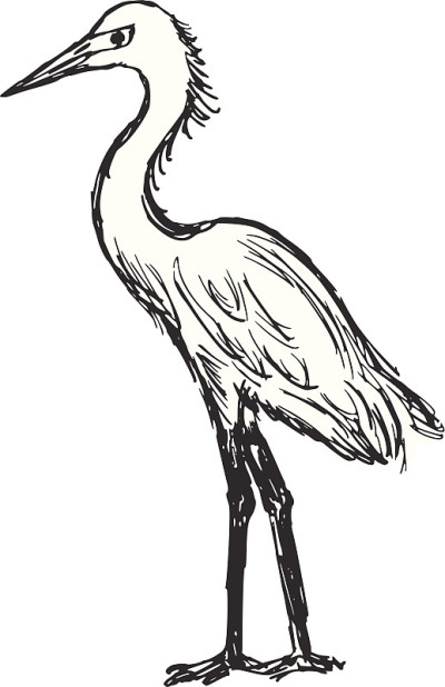 鹭
