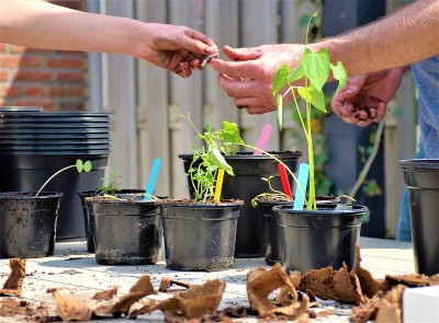 春天!室外为菜园子做准备。种植香草、蔬菜和花卉。