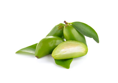 Garcinia schomburgkiana Pierre在白色背景上