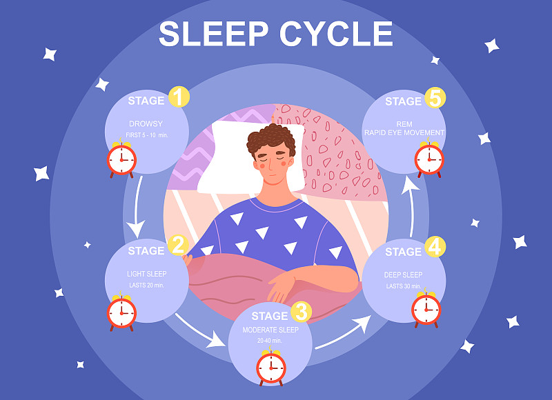 睡眠周期infrographics