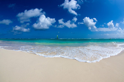 海