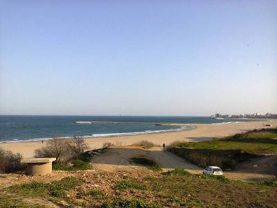 蓝天春海