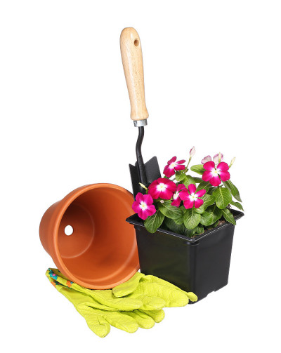 花园工具和花与花盆和手套隔离在白色