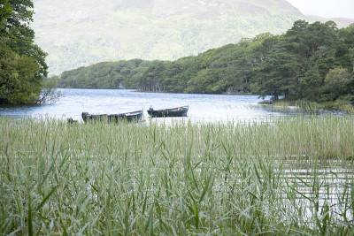利恩湖，基拉尼国家公园