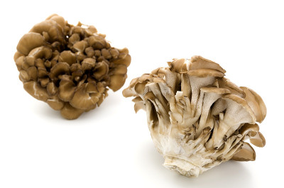 Maitake Mushrooms