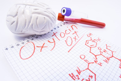 标记着催产素和化学配方的纸条被3d大脑和实验室试管包围着，试管里有供分析的血液。催产素的诊断水平，它