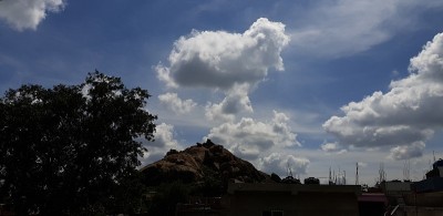 山