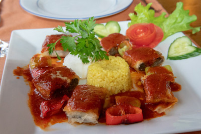 东方火鸡肉菜肴