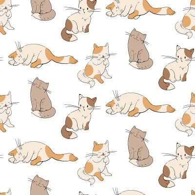 小猫